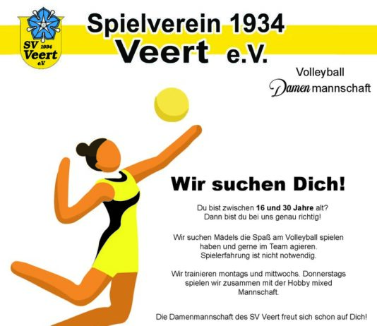 thumbnail of Volleyball Damen online